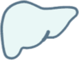 Icon of liver