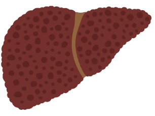 Icon of liver with cirrhosis stage F4